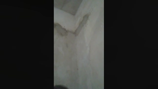 anahiimarii  11-11-2022